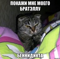 покажи мне моего братэллу Беннидикта
