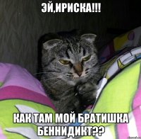 эй,Ириска!!! как там мой братишка Беннидикт??
