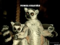 PAYMODE-X УЗБАГОЙСЯ