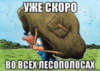уже скоро во всех лесополосах