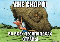 уже скоро! во всех лесополосах страны