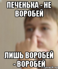 Печенька - не воробей Лишь воробей - воробей