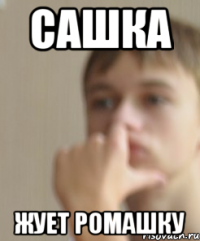 Сашка Жует ромашку