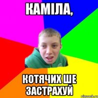 Каміла, котячих ше застрахуй
