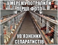 У мережу потрапили перші фото ув'язнених сепаратистів