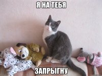 Я на тебя запрыгну