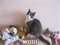  Мееееее