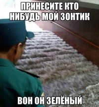 Принесите кто нибудь мой зонтик Вон он зелёный