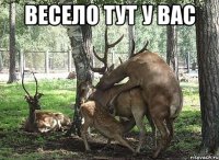 весело тут у вас 