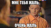 мне тебя жаль, очень жаль
