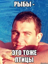 рыбы - это тоже птицы