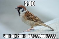 5.00 Чик-чириик...мазафаакаааа