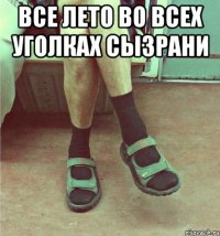 все лето во всех уголках Сызрани 