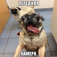 передняя камера