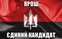 Ярош Єдиний кандидат