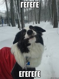 ГЕГЕГЕ ЕГЕГЕГЕ
