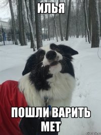 Илья Пошли варить мет
