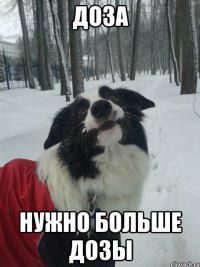 Доза Нужно больше дозы