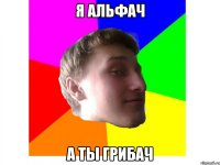 я альфач а ты грибач