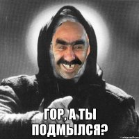  Гор, а ты подмылся?