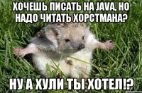 Хочешь писать на Java, но надо читать Хорстмана? Ну а хули ты хотел!?