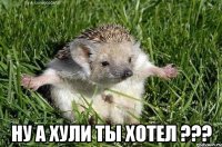  НУ А ХУЛИ ТЫ ХОТЕЛ ???