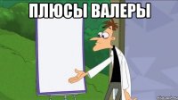 плюсы валеры 