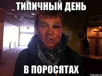 типичный день в поросятах