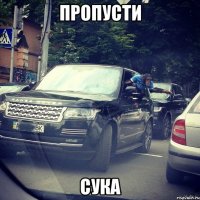 пропусти сука