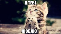 я тебе люблю**