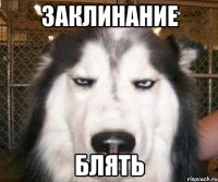 Заклинание блять