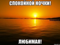 спокойной ночки! любимая!