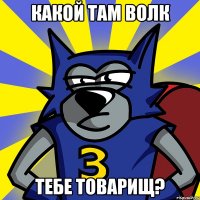 КАКОЙ ТАМ ВОЛК ТЕБЕ ТОВАРИЩ?