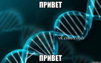 привет привет