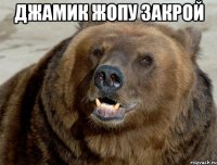 Джамик жопу закрой 