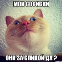 Мои сосиски Они за спиной да ?