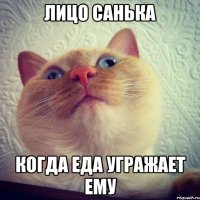 лицо санька когда еда угражает ему