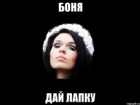 боня дай лапку
