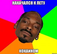 НАКАЧАЛСЯ К ЛЕТУ КОКАИНОМ