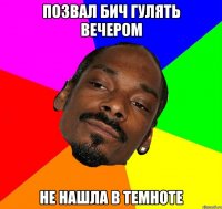 ПОЗВАЛ БИЧ ГУЛЯТЬ ВЕЧЕРОМ НЕ НАШЛА В ТЕМНОТЕ