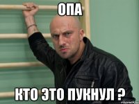 Опа кто это пукнул ?