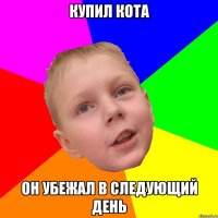 Купил кота Он убежал в следующий день