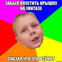Забыл опустить крышку на унитазе Сказал что это всё кот