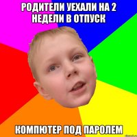 Родители уехали на 2 недели в отпуск компютер под паролем