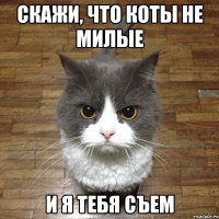 Скажи, что коты не милые и я тебя съем