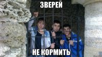 ЗВЕРЕЙ НЕ КОРМИТЬ