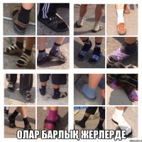  Олар барлық жерлерде