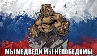  мы МЕДВЕДИ МЫ НЕПОБЕДИМЫ