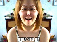  сука что ли