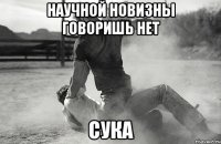 Научной новизны говоришь нет Сука